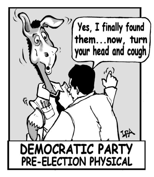 Democratic Party Pre-Election Physical