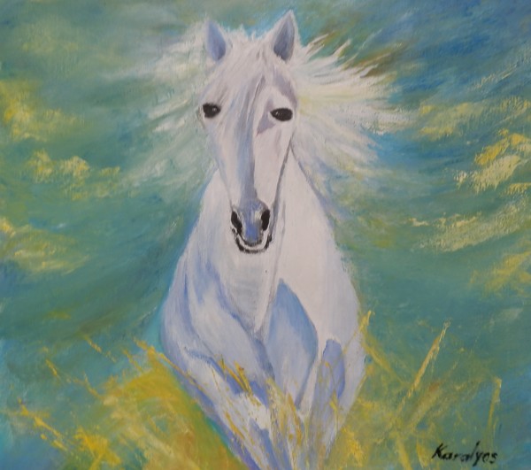 Gallop -sold