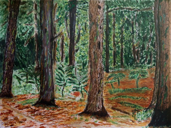 the magic emerald forest.