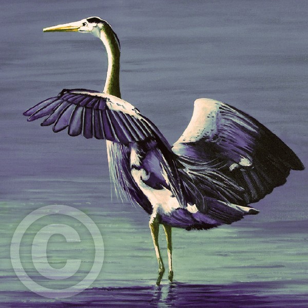 Blue Heron