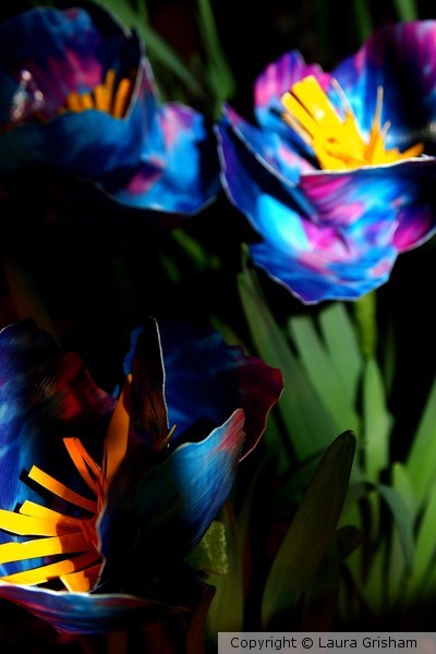 Blue Poppies in Duck Tape