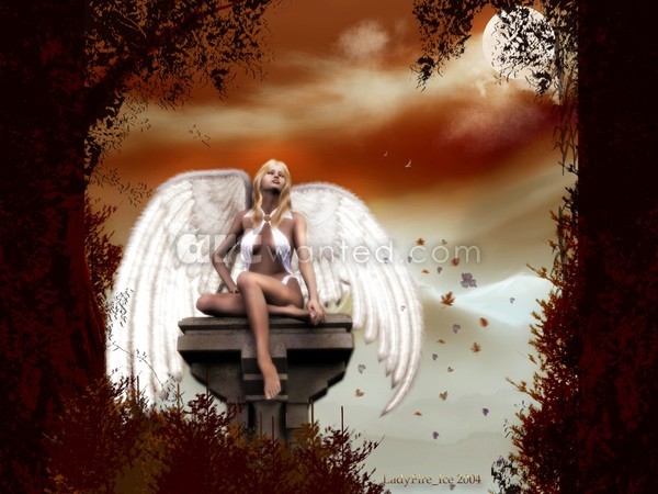The Last Angel