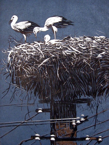 Storks