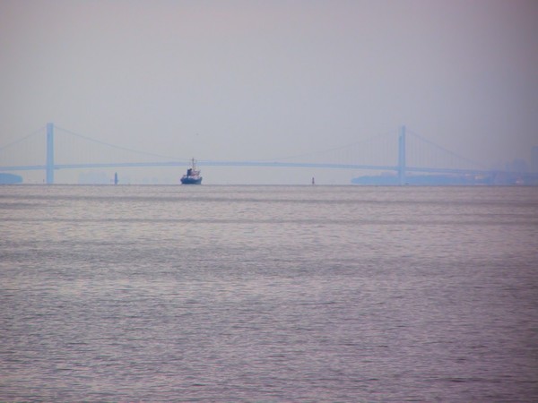 Verrazano Bridge