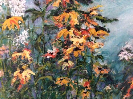 Wild Susans
