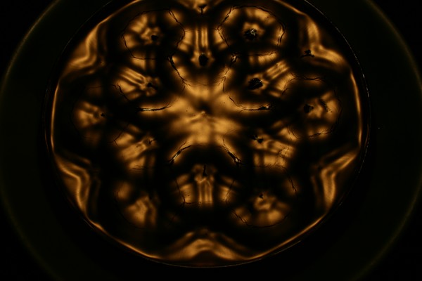 Flower of life