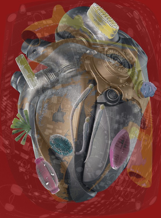 Amalgamated Fragmentation / Plastisphere-Body 3