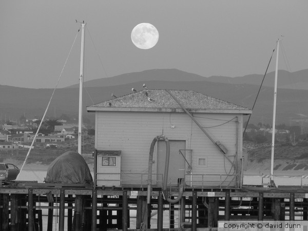 moonrise. monterey, california