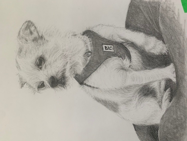 Pup
