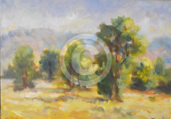LES ARBRES EN ETE
