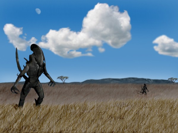 Roaming the Fields