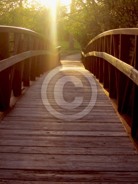The Bridge