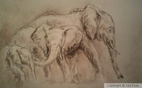 Elephant Dreams
