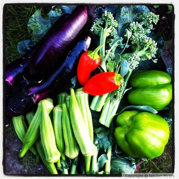 Milton Farms @ CushCoffee.com 2