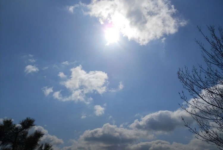 Beamsville Park 1