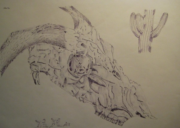 Cow Skull