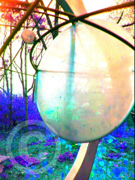 discus (saturated)