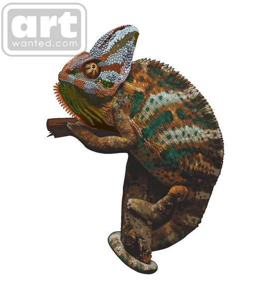 chameleonjadi