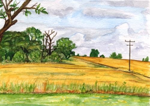 Summer Landscape