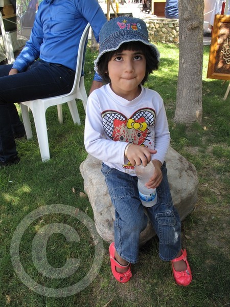 maryam mahmoudi seresht