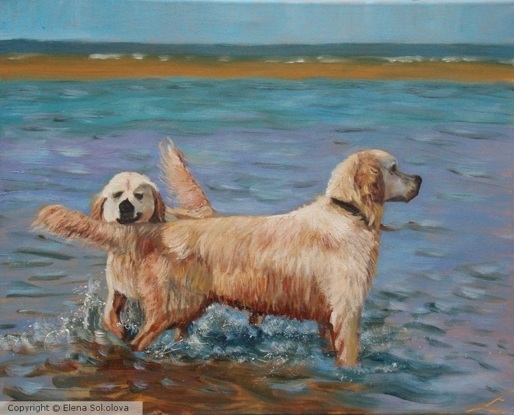 Wet dogs 3