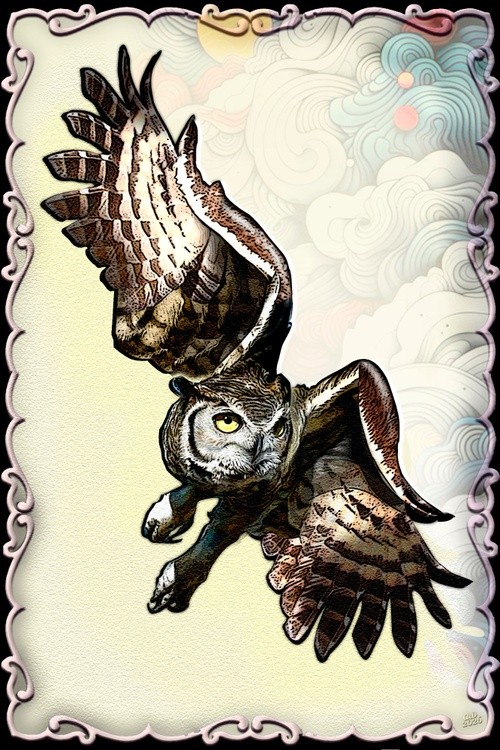 1b--Owl Patrols