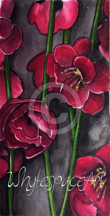 Begonias