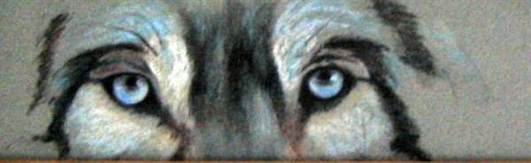 Wolf Eyes