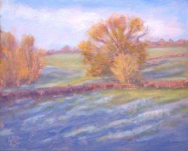 morning frost