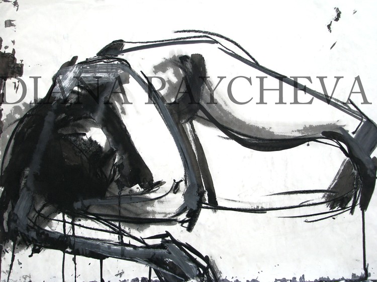 Drawing of woman's body