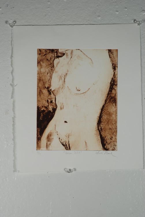 Torso328