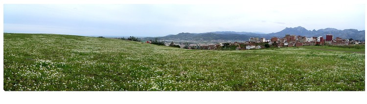 panorama