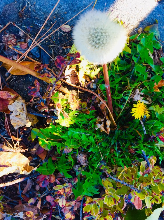 Simple Treasures  
