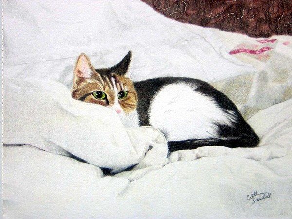 Our Kitty