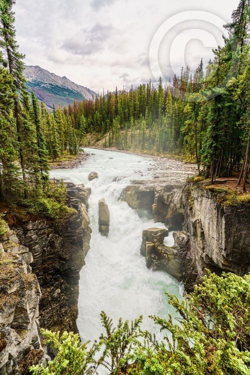 Watching the roaring water of Sunwapta Falls