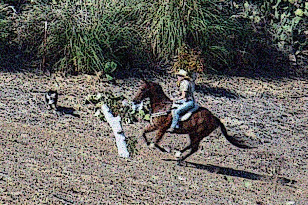Round Up