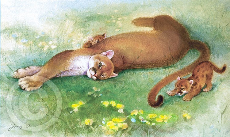 Tail Tip