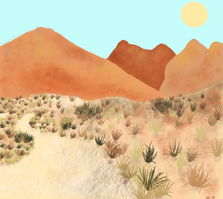 Red Rock Canyon 