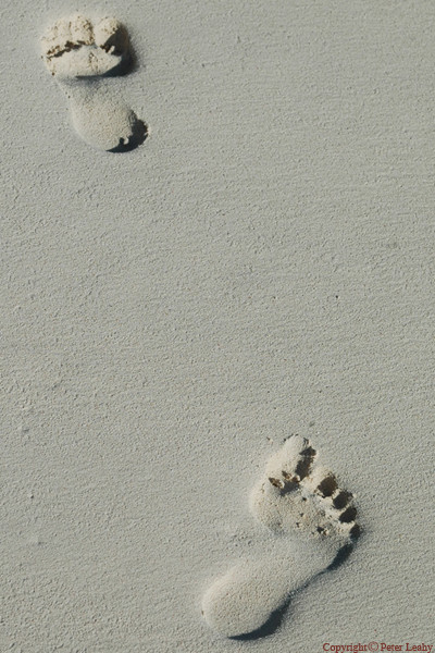 Imprints or Reliefs?