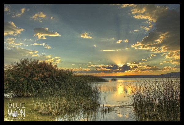 Summer Sunset