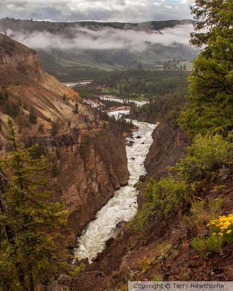 Yellowstone River