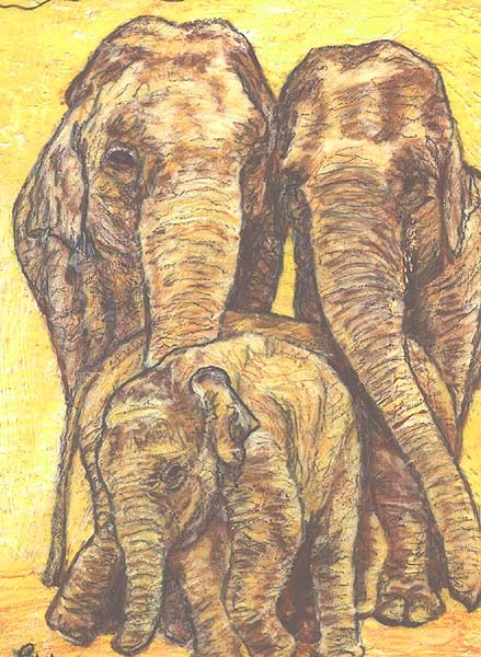 Elephants 