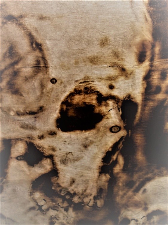 Srorched Skulls  (13)