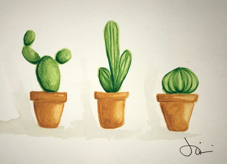 Cacti