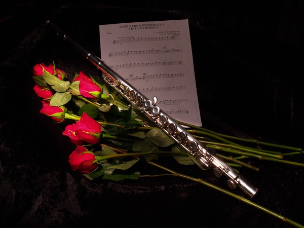 Musical Poetry