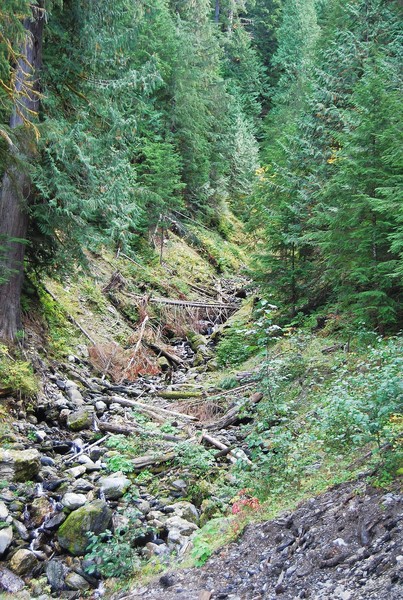 Mountain Top wash out