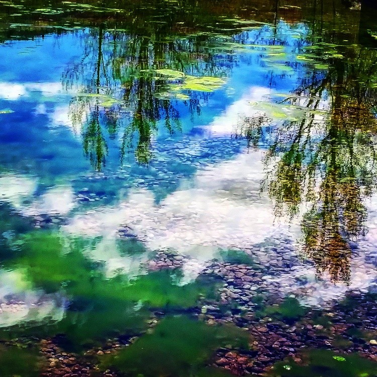 Reflection