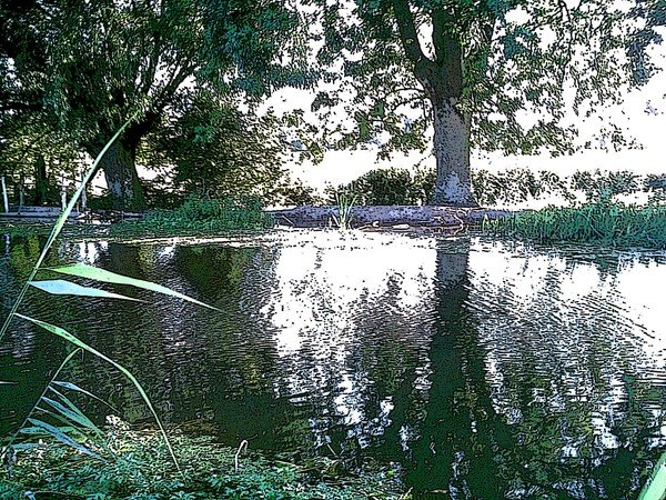 Reflections