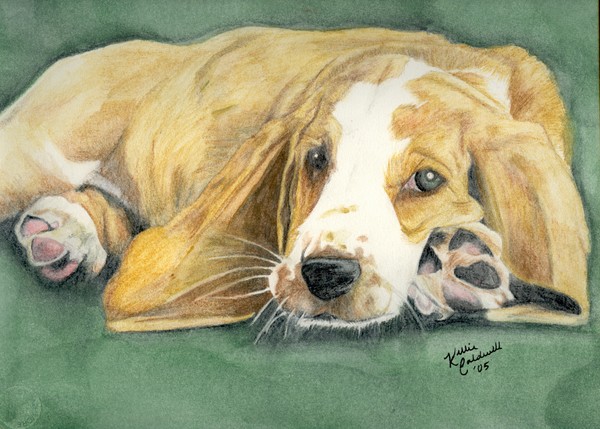 Puppy Watercolor