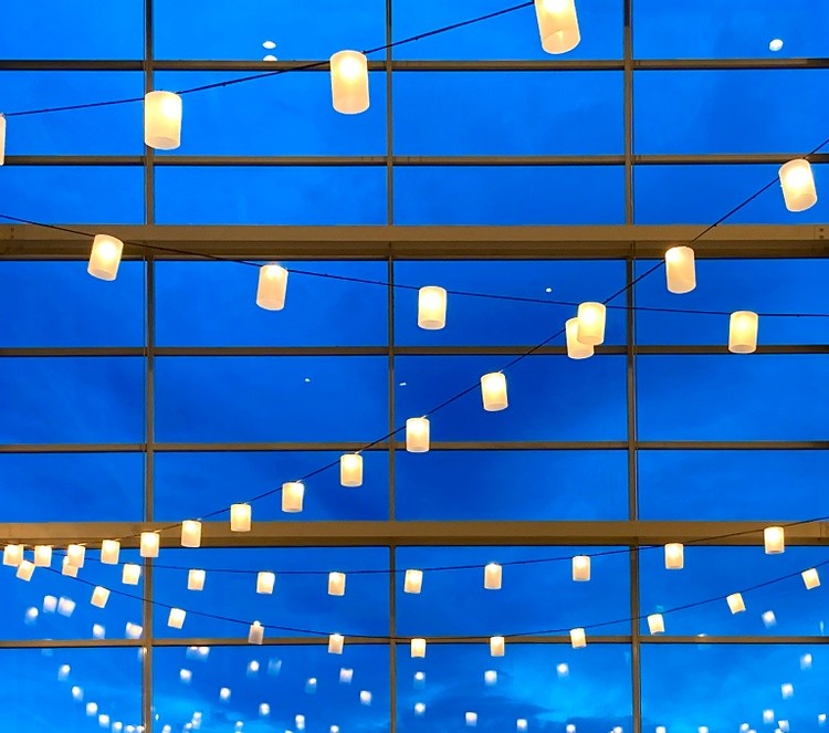Vivint lights